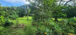 Seletar Garden (D28), Terrace #556840381
